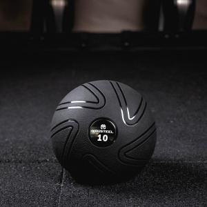Купить Мяч для кроссфита EVO SLAMBALL 10 кг в Петухове 