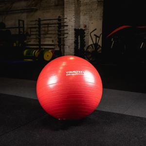 Купить Гимнастический мяч Yousteel Hard 55см в Петухове 
